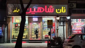 نان شاهین 3
