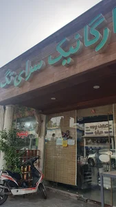 ارگانیک سرای تک