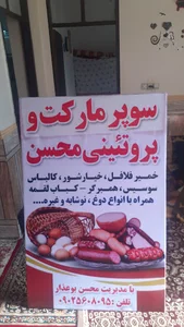 محسن سیلاوی