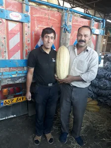 بار فروشی علی مرسلی
