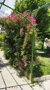 پارک مالیات