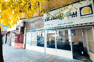 نمایندگی بیمه پاسارگاد ( عمیدی)