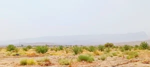 گلخانه دکتر شریفی