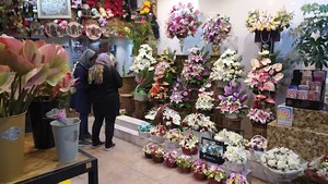 کلبه گل