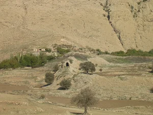 جای دار