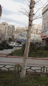 بیمه پارسیان 2