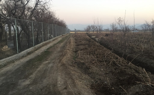 باغ ویلای داودآبادی