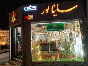 فروشگاه روشنایی ساینا نور 2