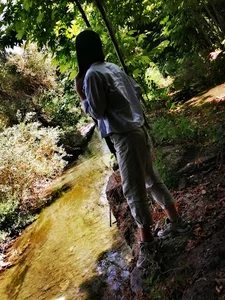 کوچه اقاقیا