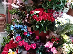 گلفروشی گل آذین