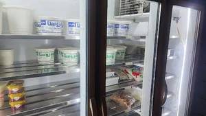 لبنیات