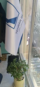 بیمه اتکایی تهران
