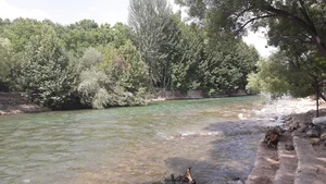 باغ تفریحی گردشگری ساحل