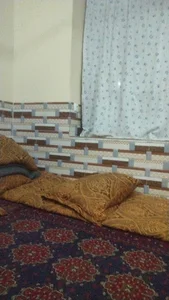 شرکت تولید تخم های اصلاح شدۀ بذری خواجه کفتربابا