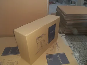 کارتن سازی ولایت پک اصفهان