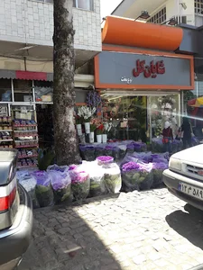شایان گل