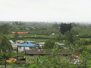 کارخانه برنجکوبی حاج حسن پورابراهیمی