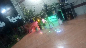 آرایشگاه آرین.