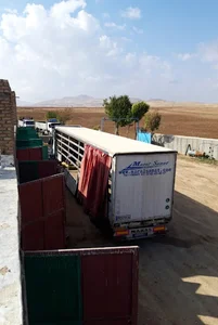 عکاسی یکتا