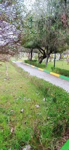 پارک نگین 5