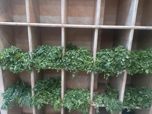 سبزیجات علی آبادی 4