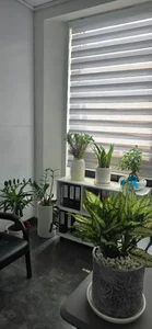 آزمایشگاه پاتوبیولوژی تابش 4