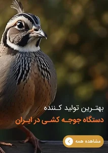 کارخانه بلدرچین دماوند