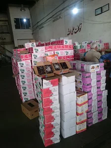 عمده فروشی خرما