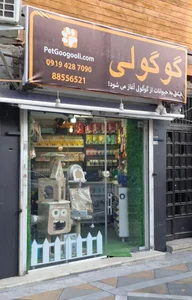 پت گوگولی 2