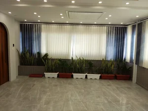 پرده سرای علی (آمره ای) 2