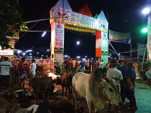 Kachukhet