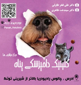 کلینیک دامپزشکی و پت شاپ پناه(دکتر طاولی)