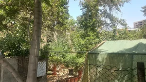 گلخانه زنبق