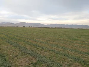 تپه باستانی موسی آباد