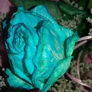 نمایندگی رسمی بیمه ایران - کد 37736 - نمایندگی طرفی 3