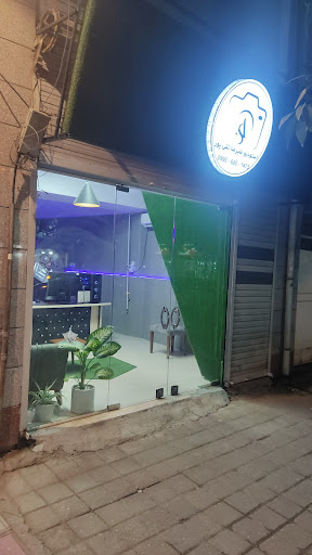 استودیو علیرضا تقی پور