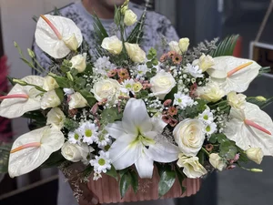 گلفروشی گلبرگ چالوس 5
