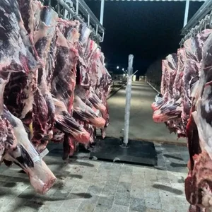 کشتارگاه صنعتی شهرداری دام اراک