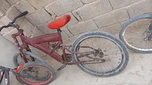 دوچرخه رالی نجمی