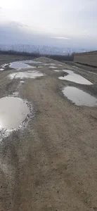 حلقوي سرک