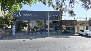 فونیکس