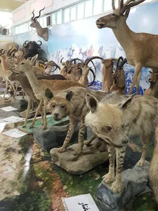 موزه حیات وحش و منابع طبیعی استان لرستان