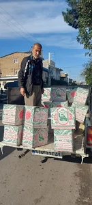 عطاری مصباح