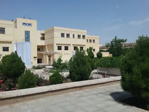 Head Office