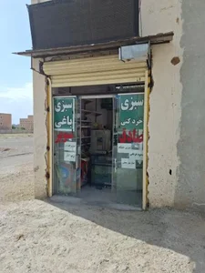 سبزی خردکنی صادق 2