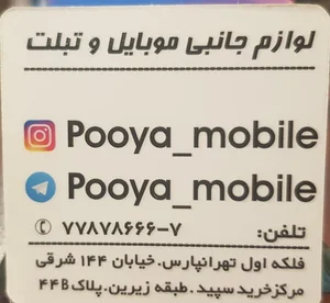 رایانه پویا 2