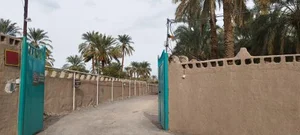 اقامتگاه سنتی بومگردی ترنج 5