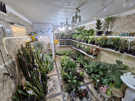 گلخانه سبزکوش
