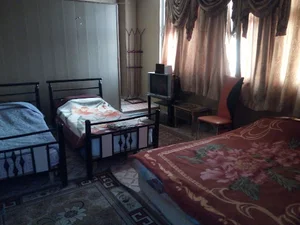 مهماپذیر گل گندم
