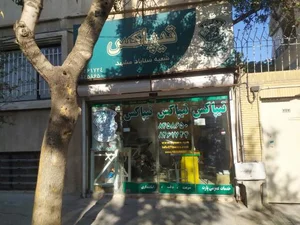 حمل و نقل اینترنتی آن پیک